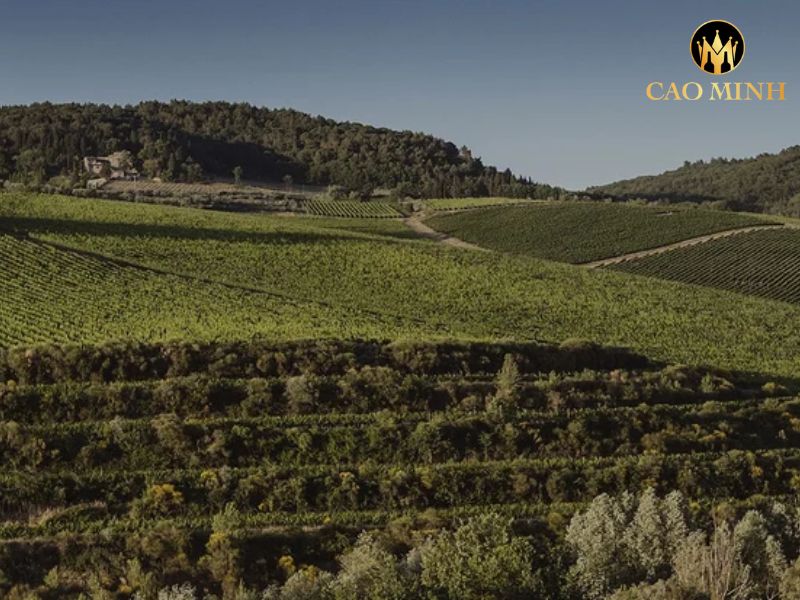 Marchesi Antinori Solaia Toscana IGT 