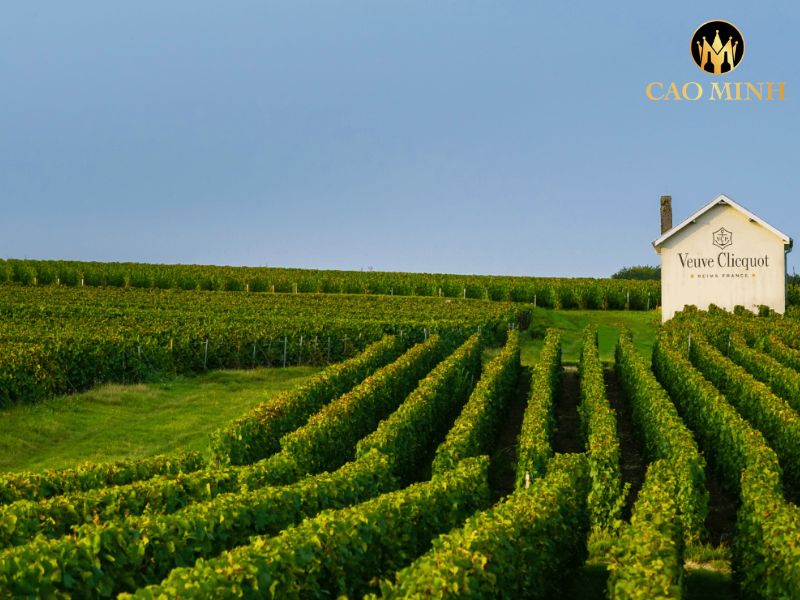 Veuve Clicquot Reserve Cuvee