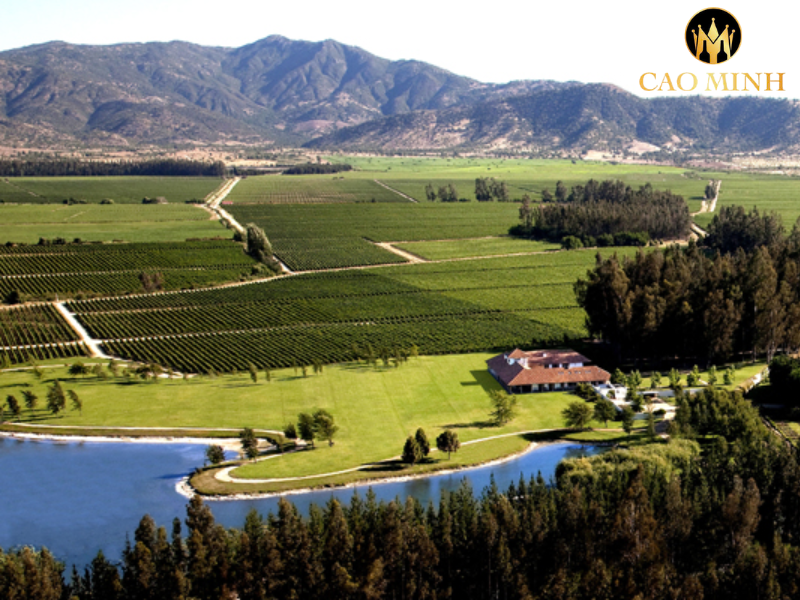 Rượu Vang Chile 6 Paths Reserva Cabernet Sauvignon