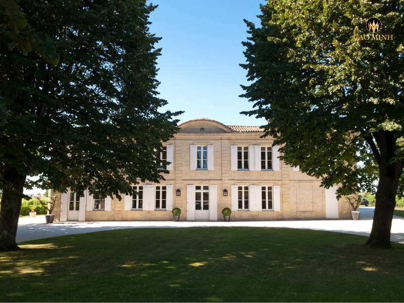 Rượu vang Pháp Château Sansonnet