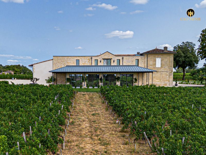Rượu vang Pháp Château Sansonnet