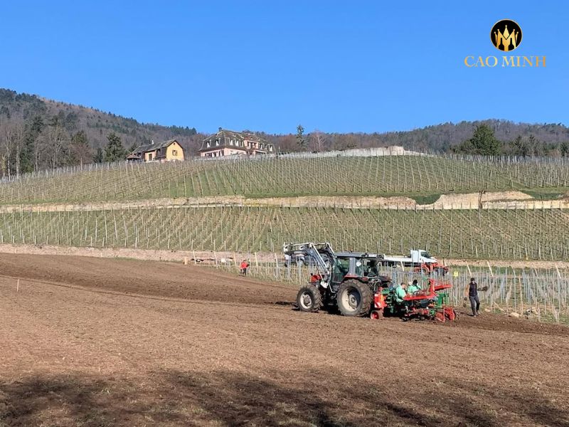 Rượu Vang Pháp Domaine Zind-Humbrecht Riesling Roche Roulée 2021
