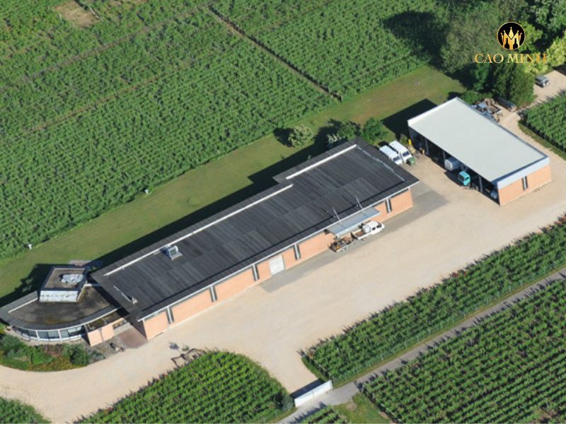 Rượu Vang Pháp Domaine Zind-Humbrecht Riesling Roche Roulée 2021