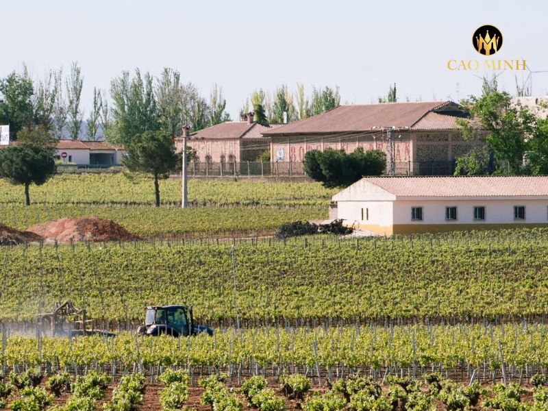 Rượu vang Tây Ban Nha Castillo de Aresan Terruno Reserva