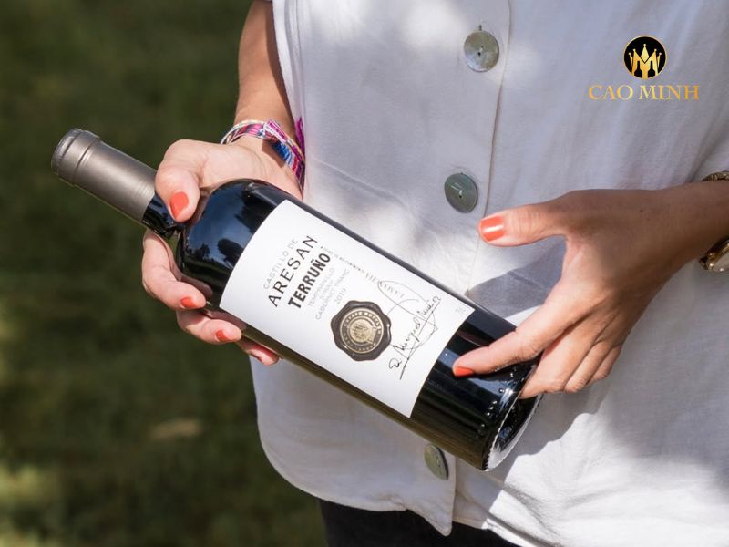 Rượu vang Tây Ban Nha Castillo de Aresan Terruno Tempranillo - Syrah - Cabernet Franc