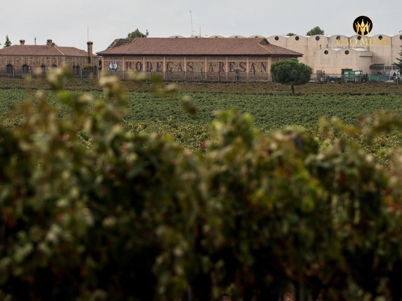 Rượu vang Tây Ban Nha Castillo de Aresan Terruno Tempranillo - Syrah - Cabernet Franc