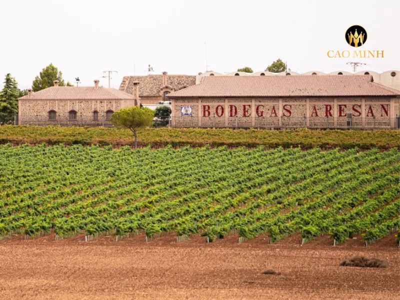 Rượu vang Tây Ban Nha Castillo de Aresan Terruno Chardonnay