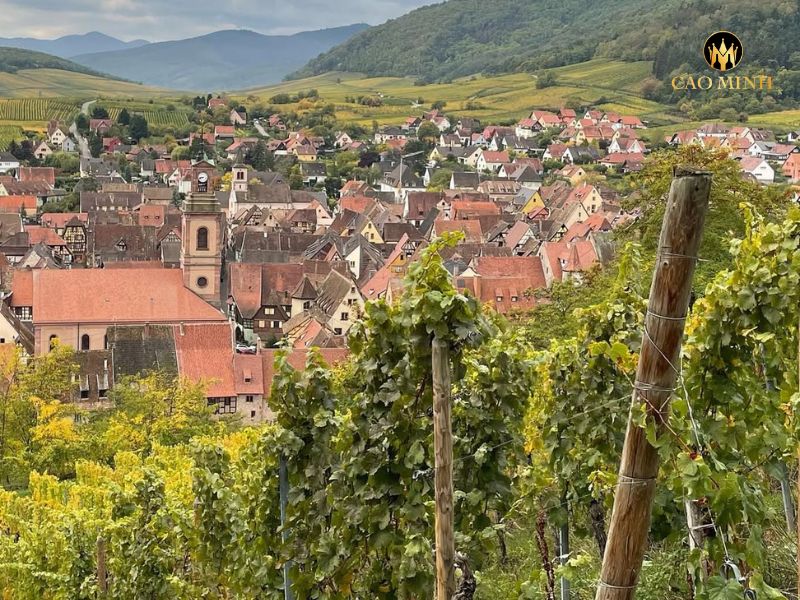 Rượu vang Pháp Marcel Deiss Rotenberg Cru d’Alsace La Colline Rouge