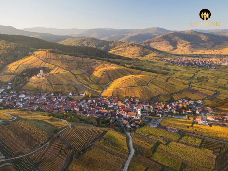 Rượu vang Pháp Marcel Deiss Rotenberg Cru d’Alsace La Colline Rouge
