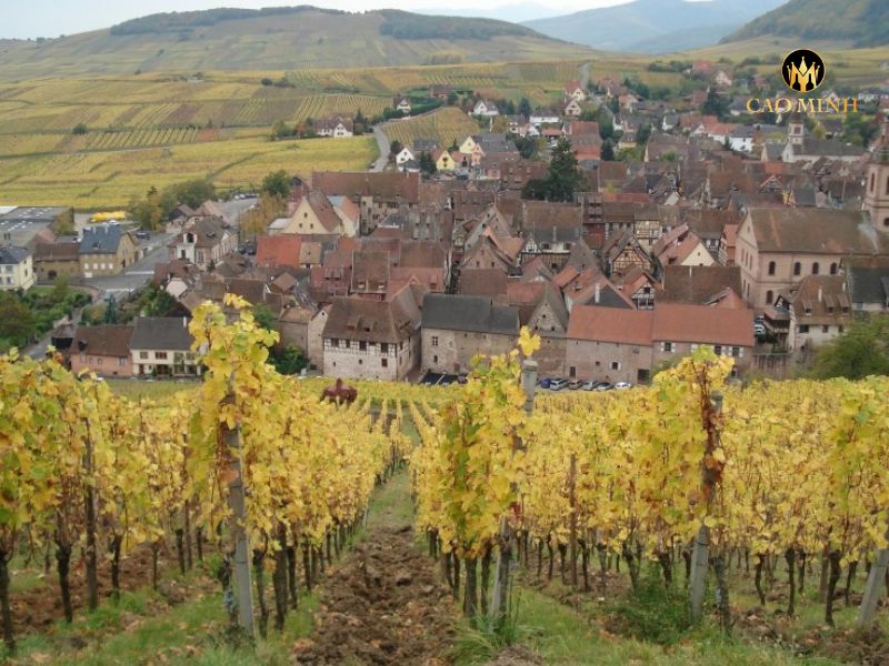 Rượu Vang Pháp Marcel Deiss Schoenenbourg Grand Cru 2015