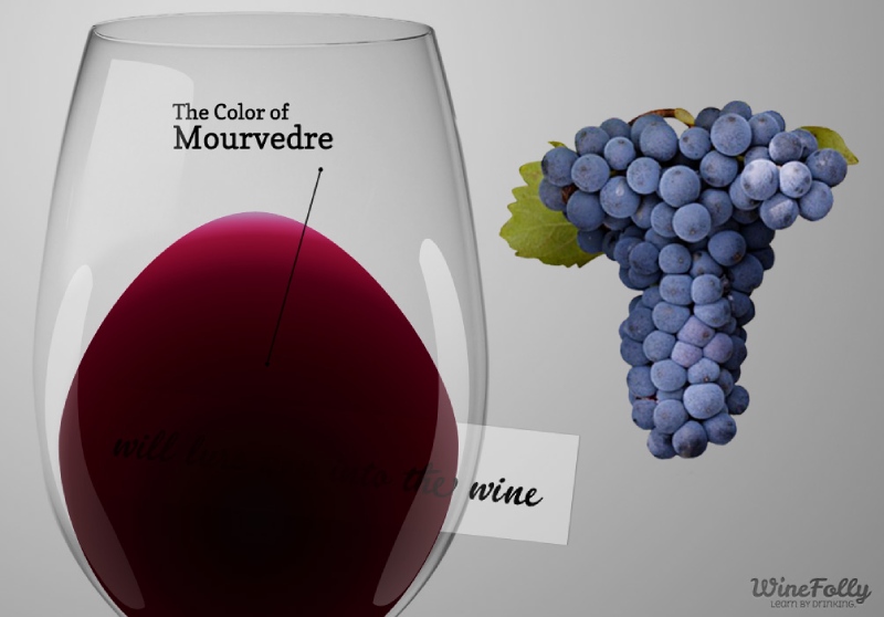 Mourvèdre - Mạnh mẽ và cá tính