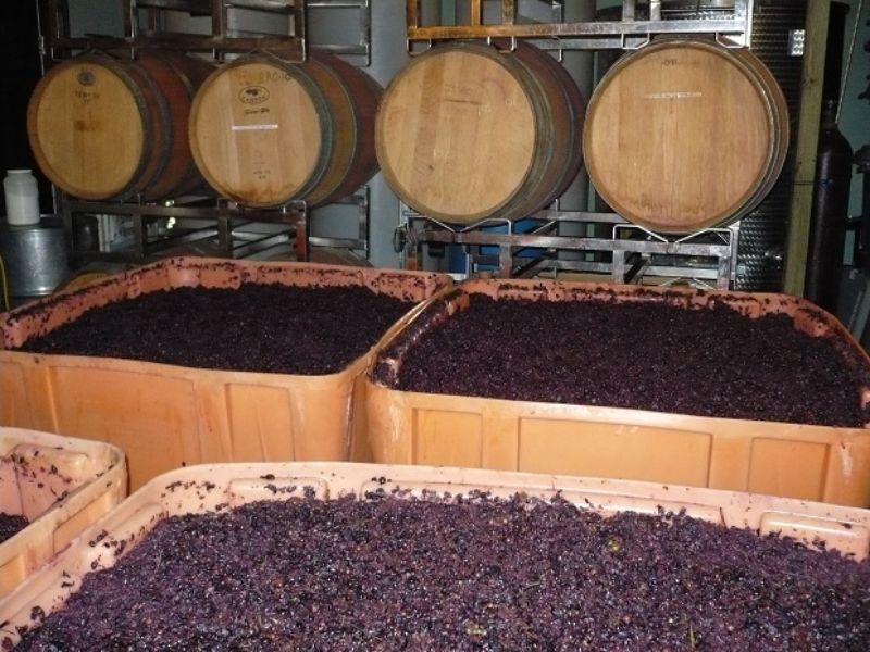 Quá trình ủ để làm mềm tannin và phát triển thêm các hương thơm mới cho rượu