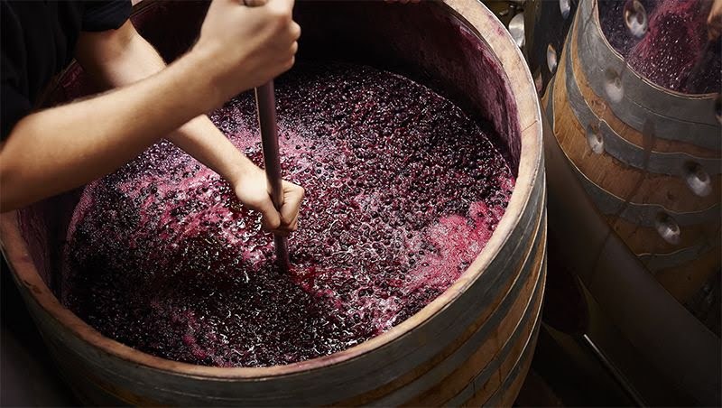 Quá trình lên men và ủ rượu cũng đóng vai trò quyết định lượng tannin trong rượu vang