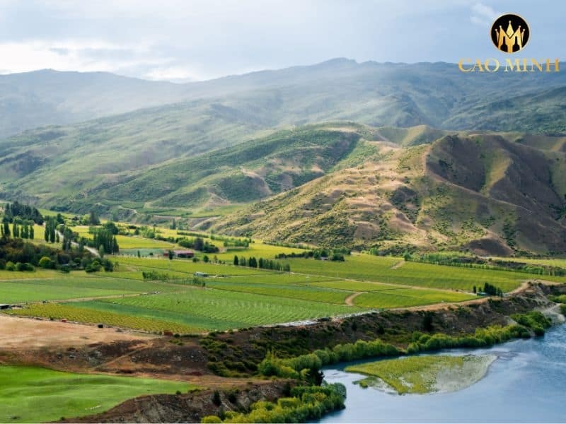 Ngắm nhìn khung cảnh thiên nhiên tựa như tranh vẽ từ nhà sản xuất Cloudy Bay, Marlborough
