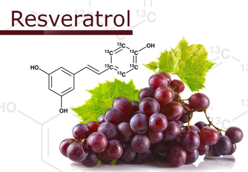 Resveratrol điểm nổi bật nhất trong giá trị dinh dưỡng của rượu vang