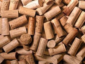 Những điều có thể bạn chưa biết về gỗ làm nút chai rượu vang