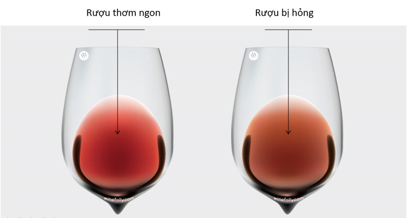 Nhận biết rượu vang bị hỏng qua mùi vị, màu sắc và cặn trong rượu
