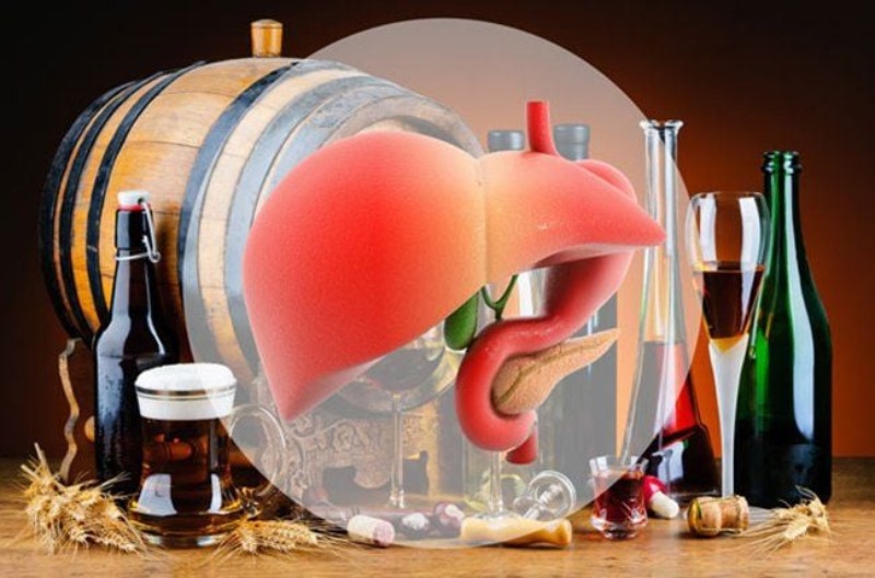 Rượu vang ảnh hưởng đến gan và quá trình trao đổi chất