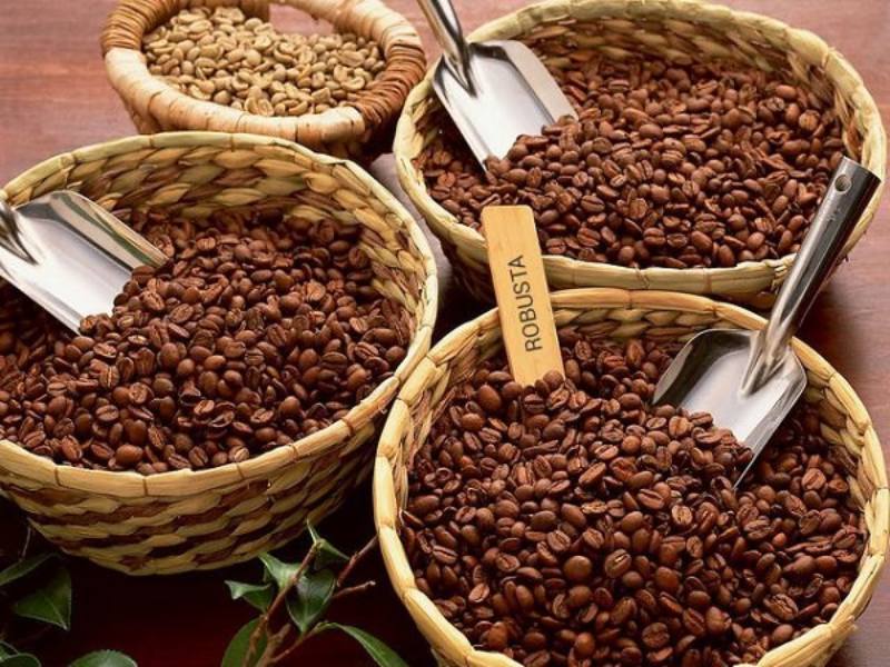 Cà phê Arabica hoặc Robusta chất lượng cao, được trồng tại các vùng nổi tiếng như Cầu Đất (Đà Lạt), Sơn La, chưa qua tẩm ướp hương liệu