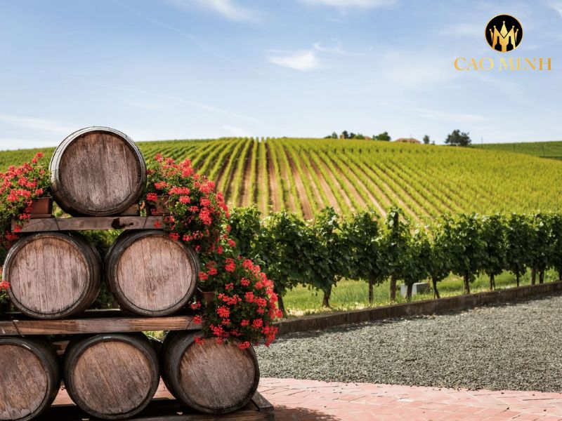 Château Lamothe Castéra