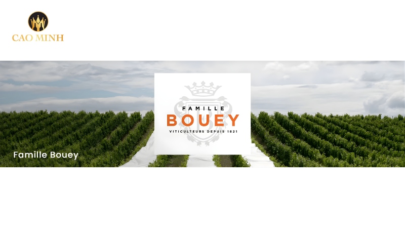 Famille Bouey là một trong những nhà làm vang gia đình độc lập lâu đời nhất tại vùng Médoc, Bordeaux