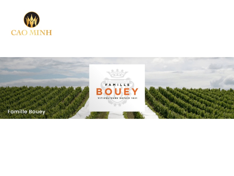 Famille Bouey là một trong những nhà làm vang độc lập lâu đời nhất của vùng Médoc – Bordeaux