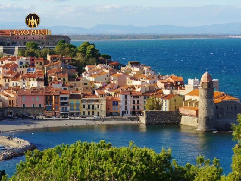 Languedoc sở hữu diện tích vườn nho khổng lồ hơn 280.000 ha, lớn nhất thế giới