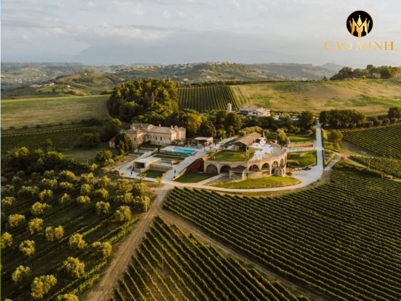 Di Sipio Montepulciano d'Abruzzo