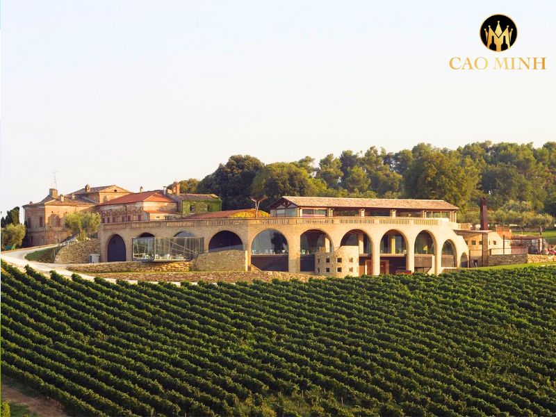 Di Sipio Pecorino IGT Terre di Chieti