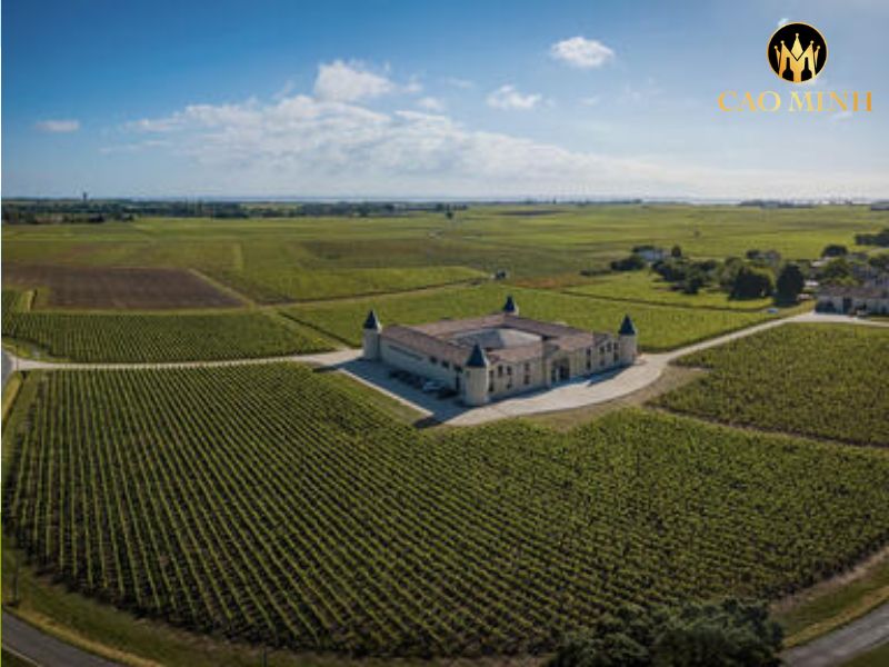 Grand Vin De St Estephe