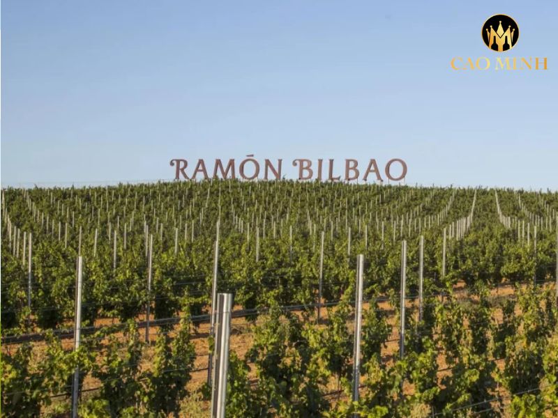 Ramon Bilbao Crianza