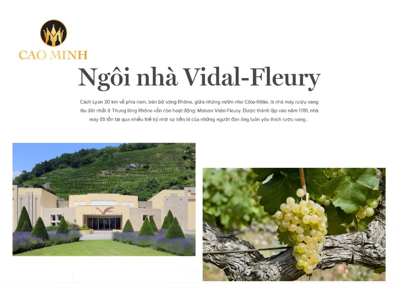 Vidal Fleury là nhà làm vang lâu đời nhất của Rhône Valley