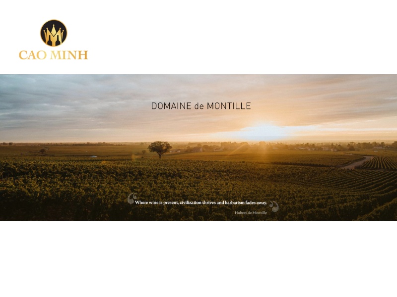 Nhà làm vang Domaine de Montille