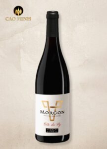 Rượu vang pháp Georges Duboeuf Morgon Lieu-Dit Côte Du Py