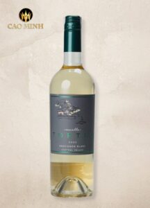Rượu Vang Chile Muelle Tortel Sauvignon Blanc