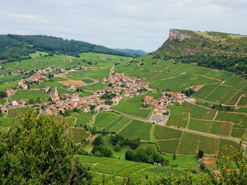 Vùng đất 'Aux Bouthieres' và những gốc nho cổ thụ 70 năm tuổi