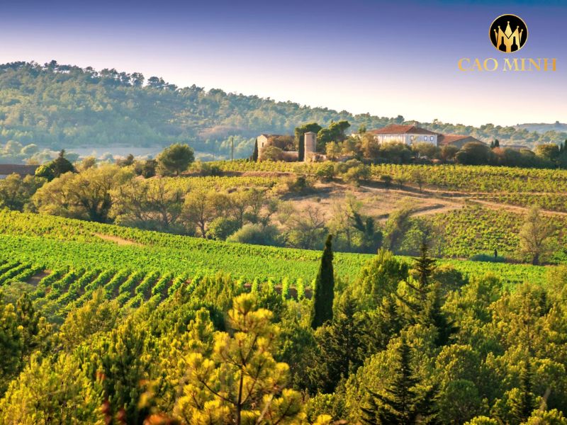 Gérard Bertrand Domaine de Villemajou Corbières Boutenac