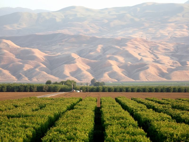 Central Valley – nơi sản xuất rượu vang Chile Marcelito Chardonnay