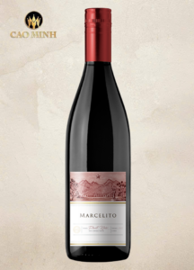 Rượu vang Chile Marcelito Pinot Noir