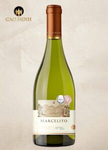 Rượu vang Chile Marcelito Special Reserve Chardonnay