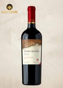Rượu vang Chile Tierra Secreta Cabernet Sauvignon
