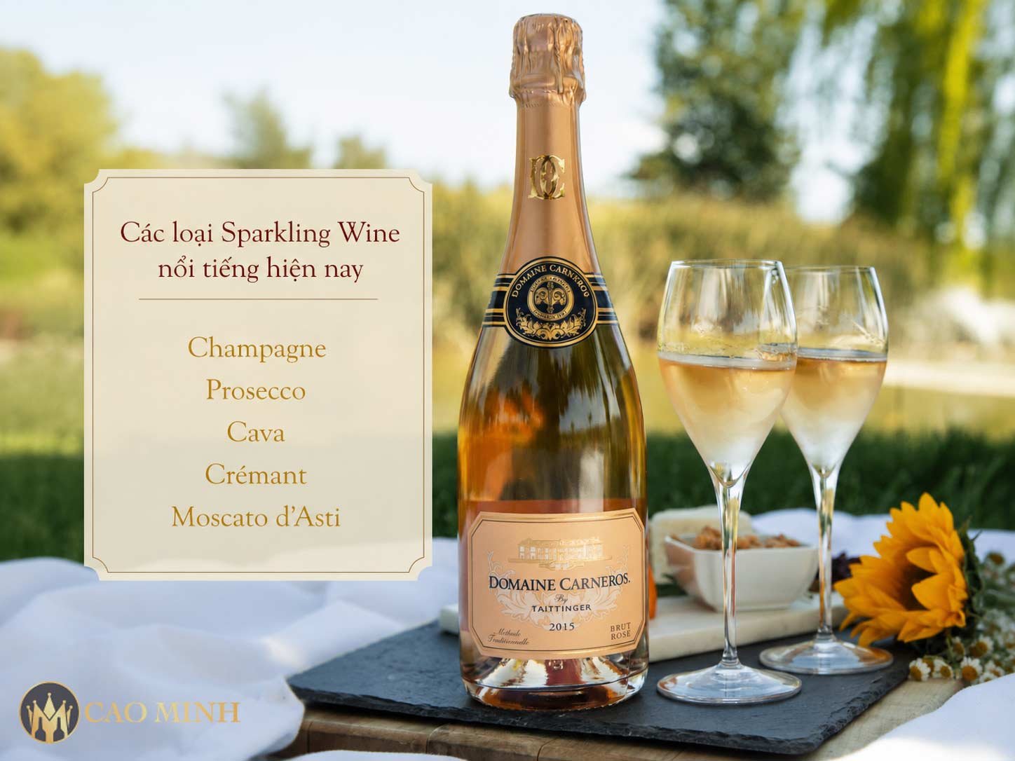 Sparkling Wine là gì? Chi tiết: Phân loại, đặc trưng, cách phân biệt