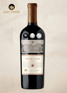 Rượu vang Chile Don Marcelo Premium Reserve Syrah – Cabernet Sauvignon