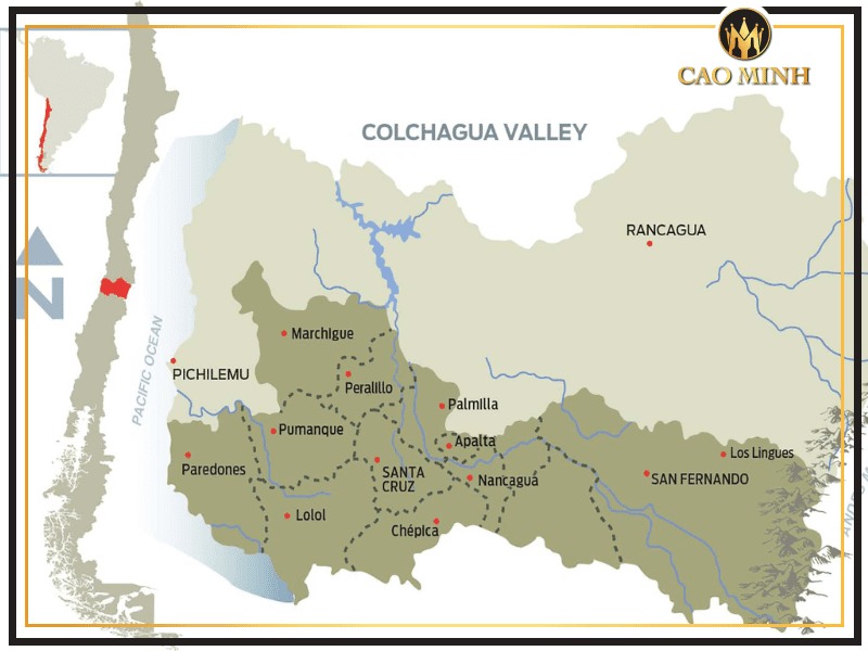 Để tạo nên một chai vang đậm đà và đầy bản sắc, nhà làm vang đã chọn Curicó Valley làm điểm khởi đầu