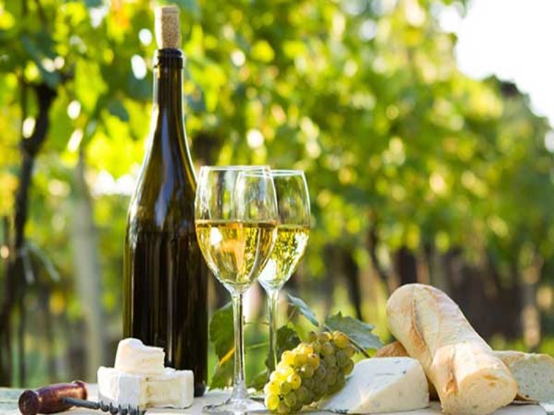 Don Marcelo Reserva Privada Chardonnay mang một chiều sâu vượt khỏi một chai vang trắng thường ngày