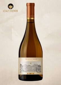 Rượu vang Chile Don Marcelo Reserva Privada Chardonnay