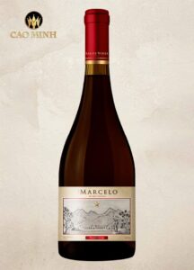 Rượu vang Chile Don Marcelo Reserva Privada Pinot Noir
