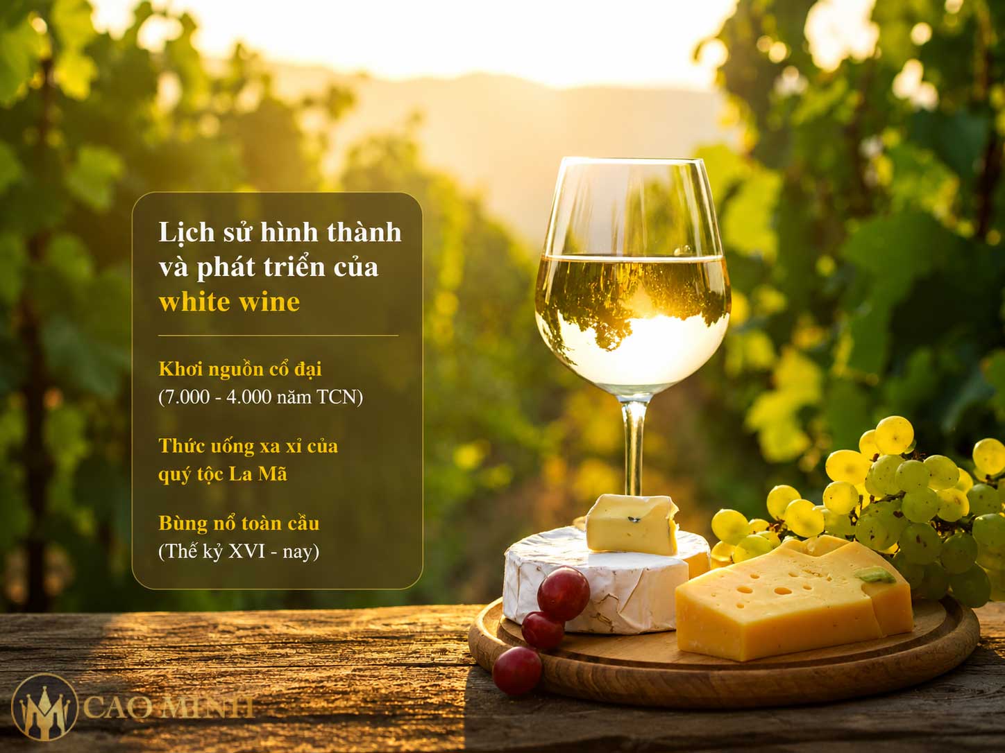 White Wine là gì? Chi tiết: Lịch sử, đặc điểm, giống nho, nơi sản xuất