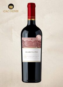 Rượu vang Chile Marcelito Cabernet Sauvignon