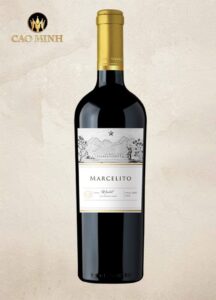  Rượu vang Chile Marcelito Merlot